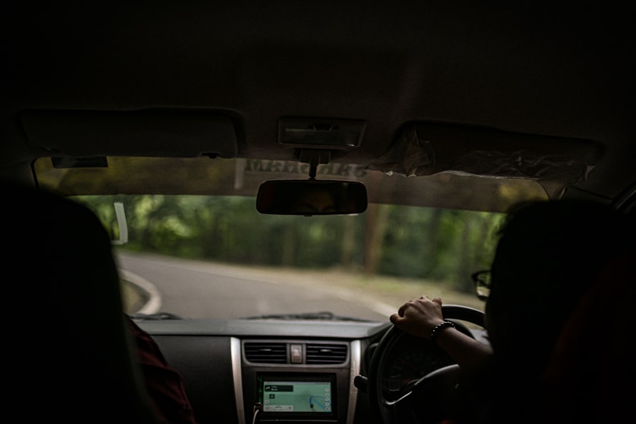 Driving down a tree-lined road