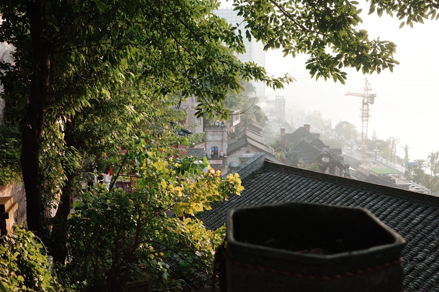 Misty morning over ancient temple rooftops and trees