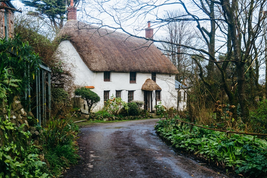 Securing Thatched Roof Insurance Ireland