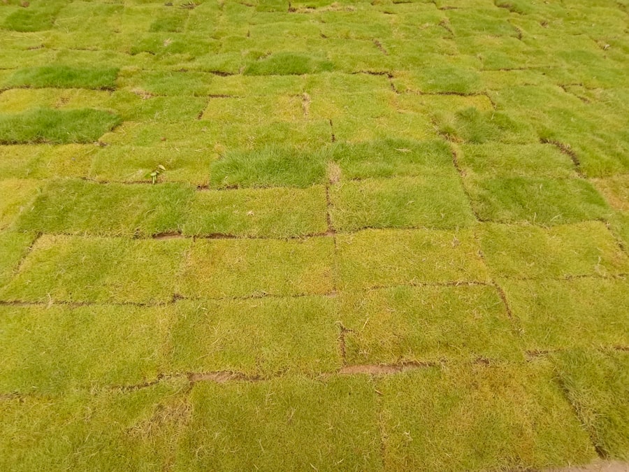 a large green field
