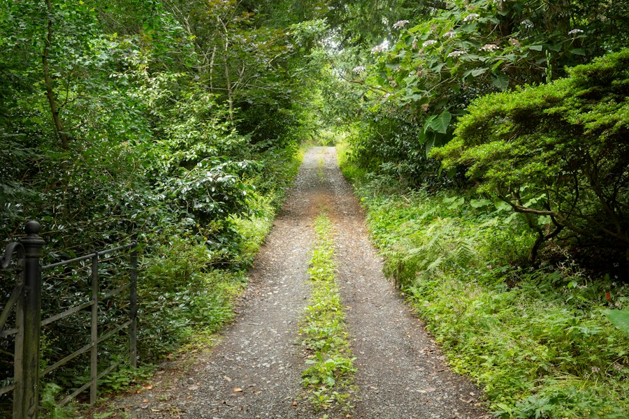 Buying a landlocked property Ireland tips