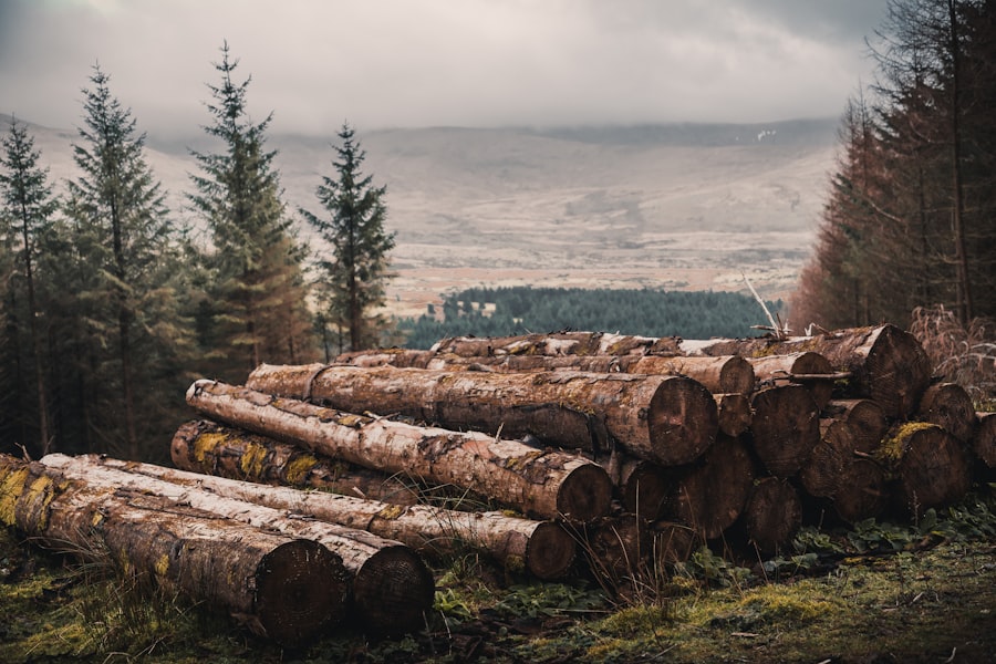 Philippines to Wicklow relocation guide