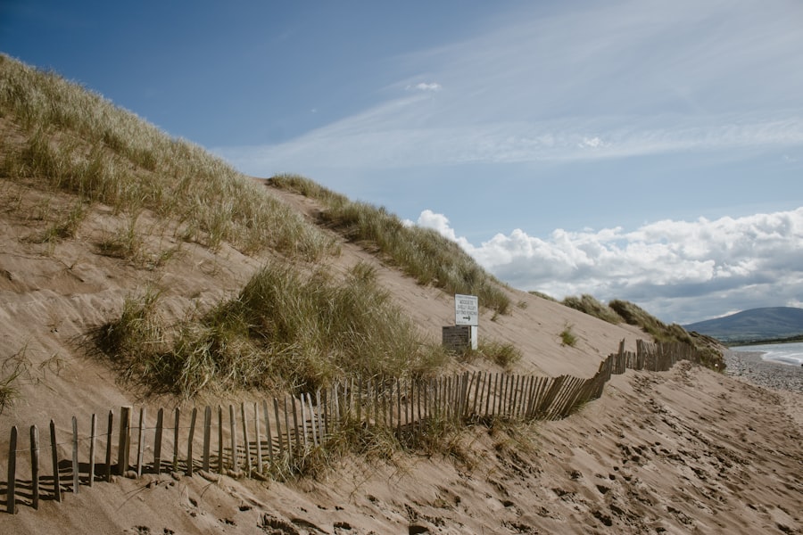 France to Sligo relocation: A Step-by-Step Guide