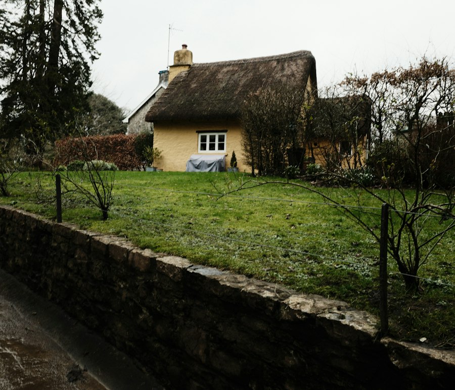 Buying with a shared septic tank Ireland guide