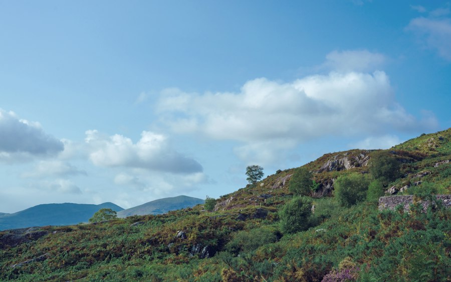 Buying a Detached Home in Killarney