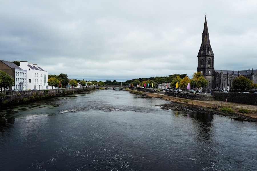 Netherlands to Meath relocation guide