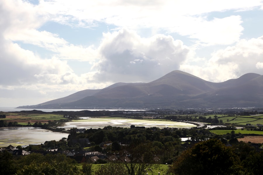 Tips for moving from France to Kerry