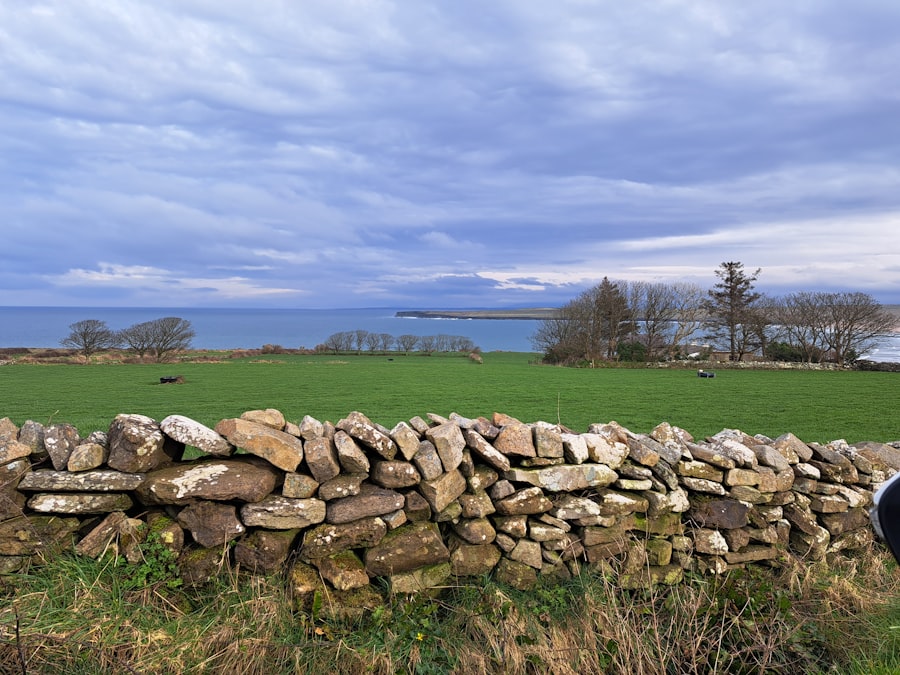 Avoid Boundary Disputes Ireland Guide