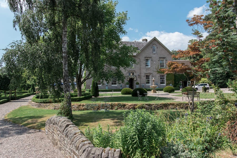 Portugal to Laois relocation guide