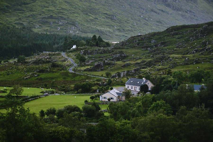 Buying a thatched cottage in Roscommon