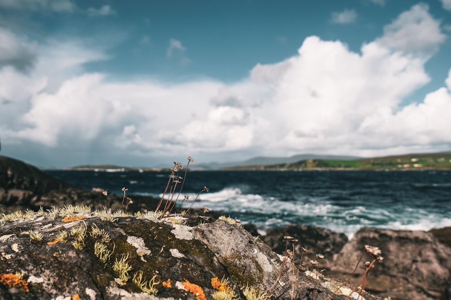 a view of a body of water from a rocky shore