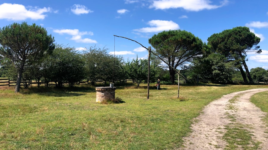 Buying Property with a Private Well Ireland