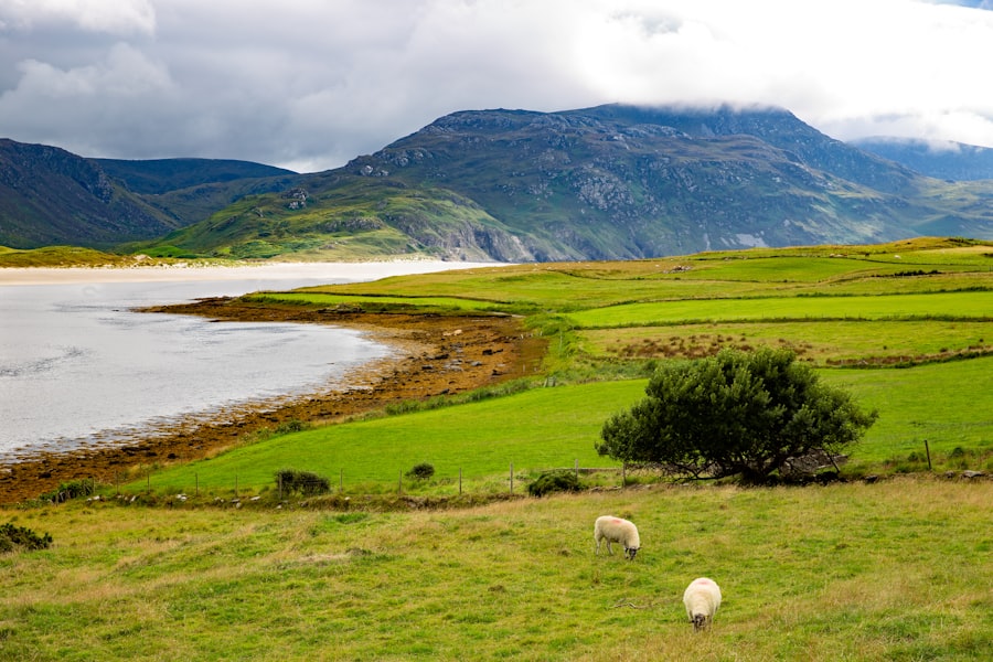 Guide to a UK to Cavan relocation
