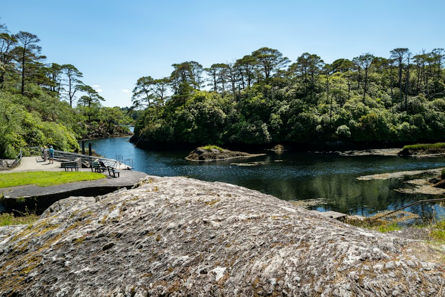 Moving from South Africa to Bantry