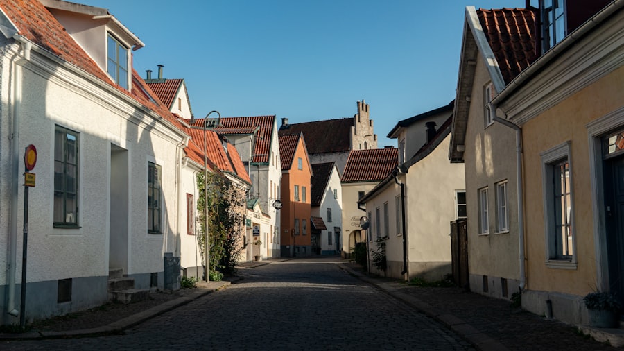 Lithuania to Kilkenny relocation guide