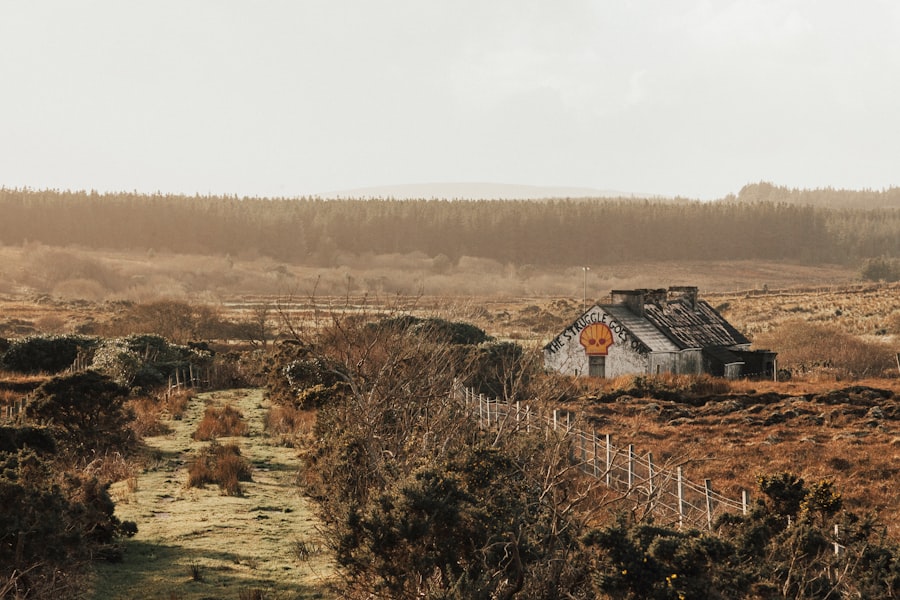 buying a bungalow in Tralee